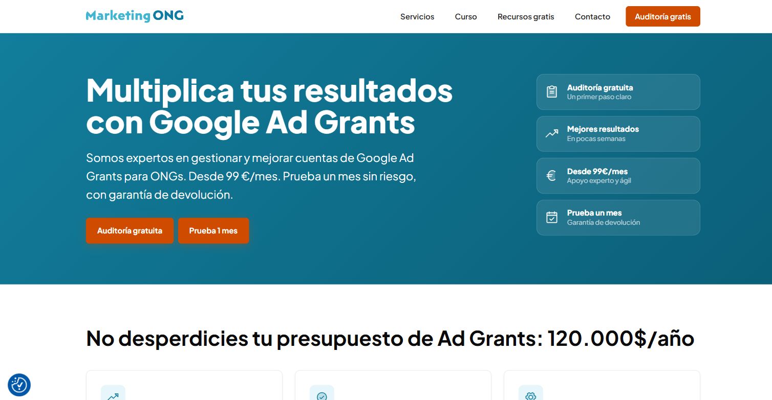 Captura de la web de gestión de Google Ad Grants de Marketing ONG